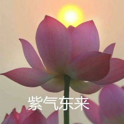 hit我守护的一切手游下载